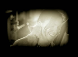 Shearwater release live album